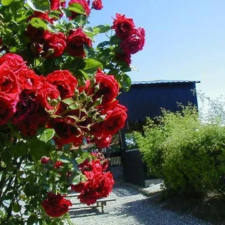 Vejskraekgarden * Fæbæk